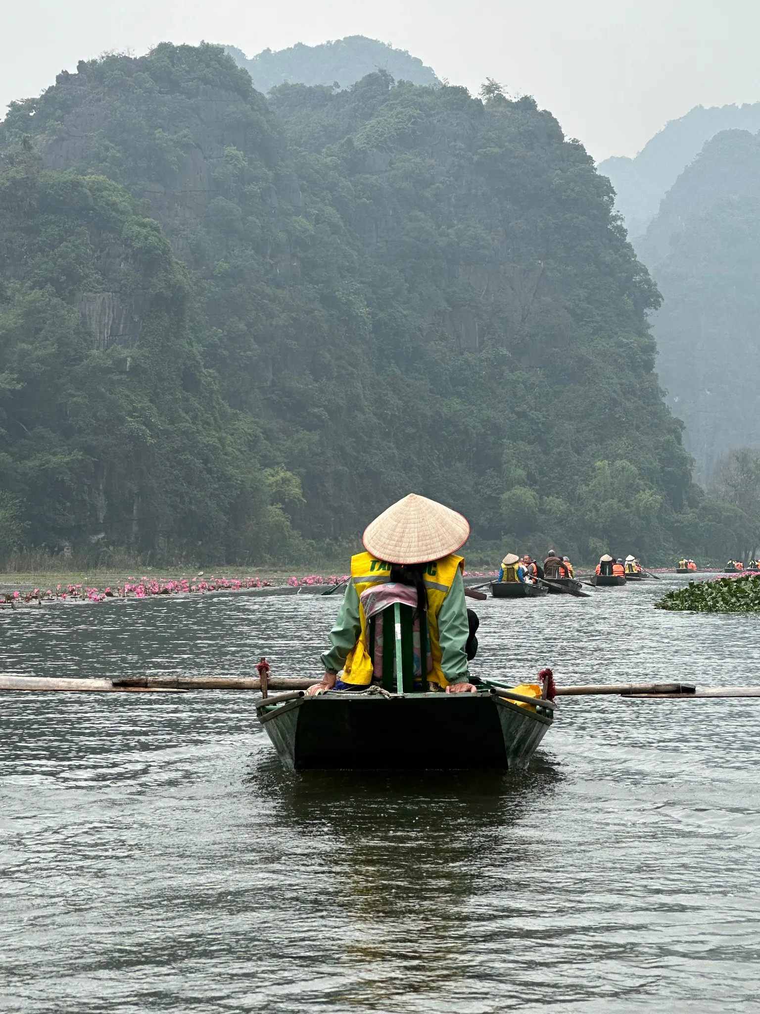 Paisaje de Vietnam