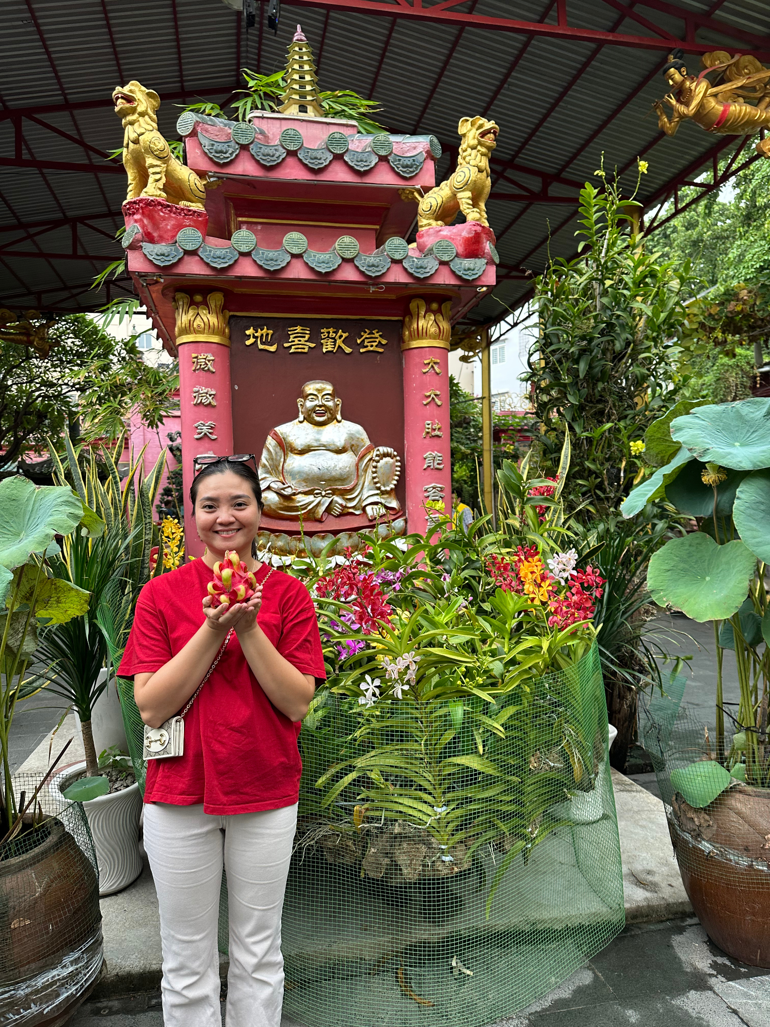 Pagoda de Jade Muoi contenta sujetando la fruta del dragon