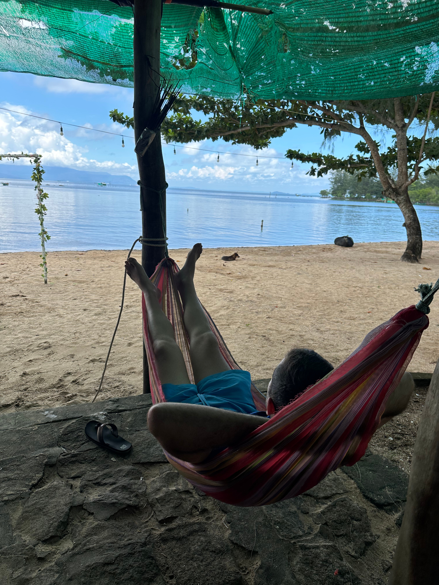 Diseño sin título (96)