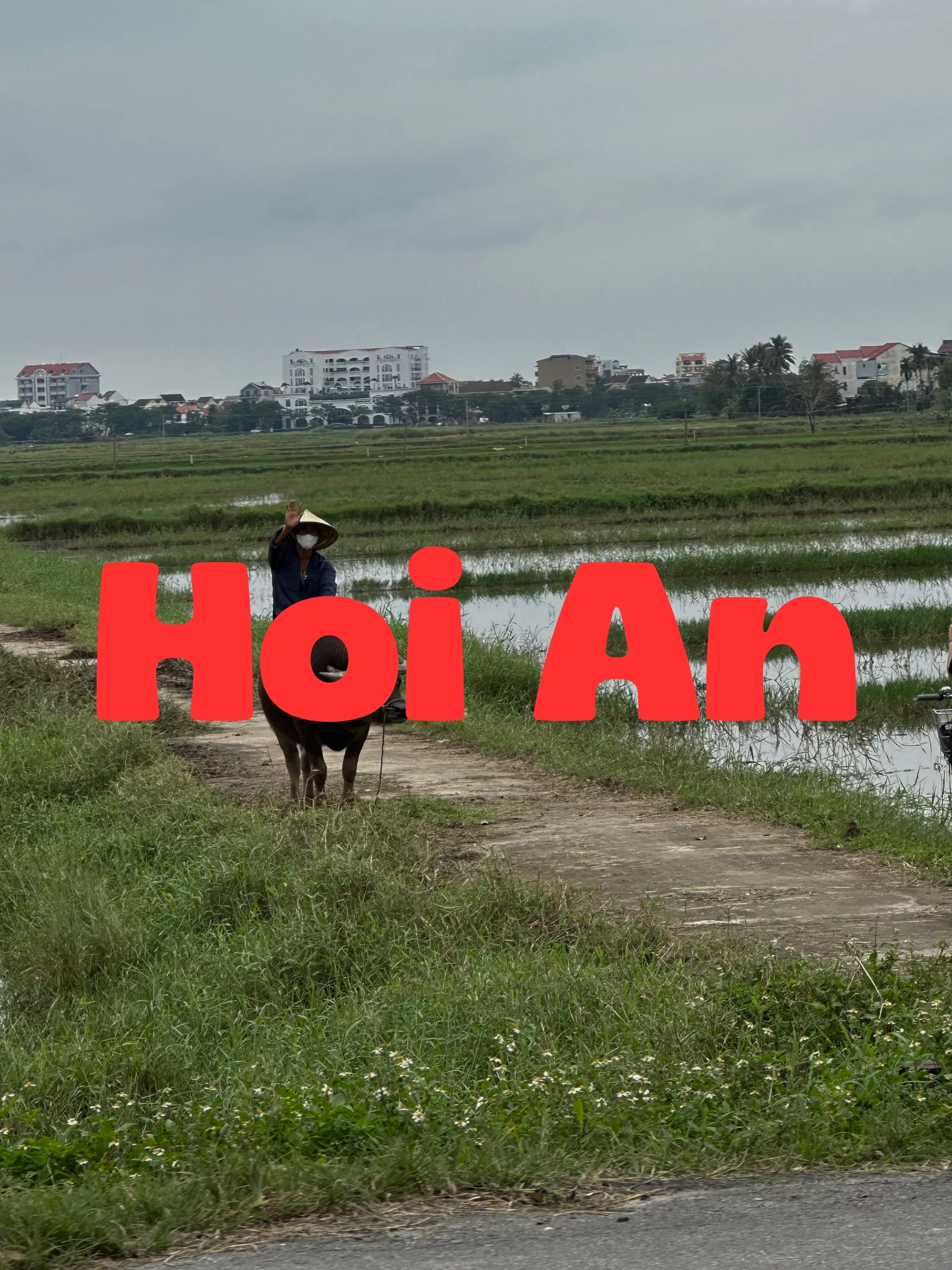 Hoi An (1)