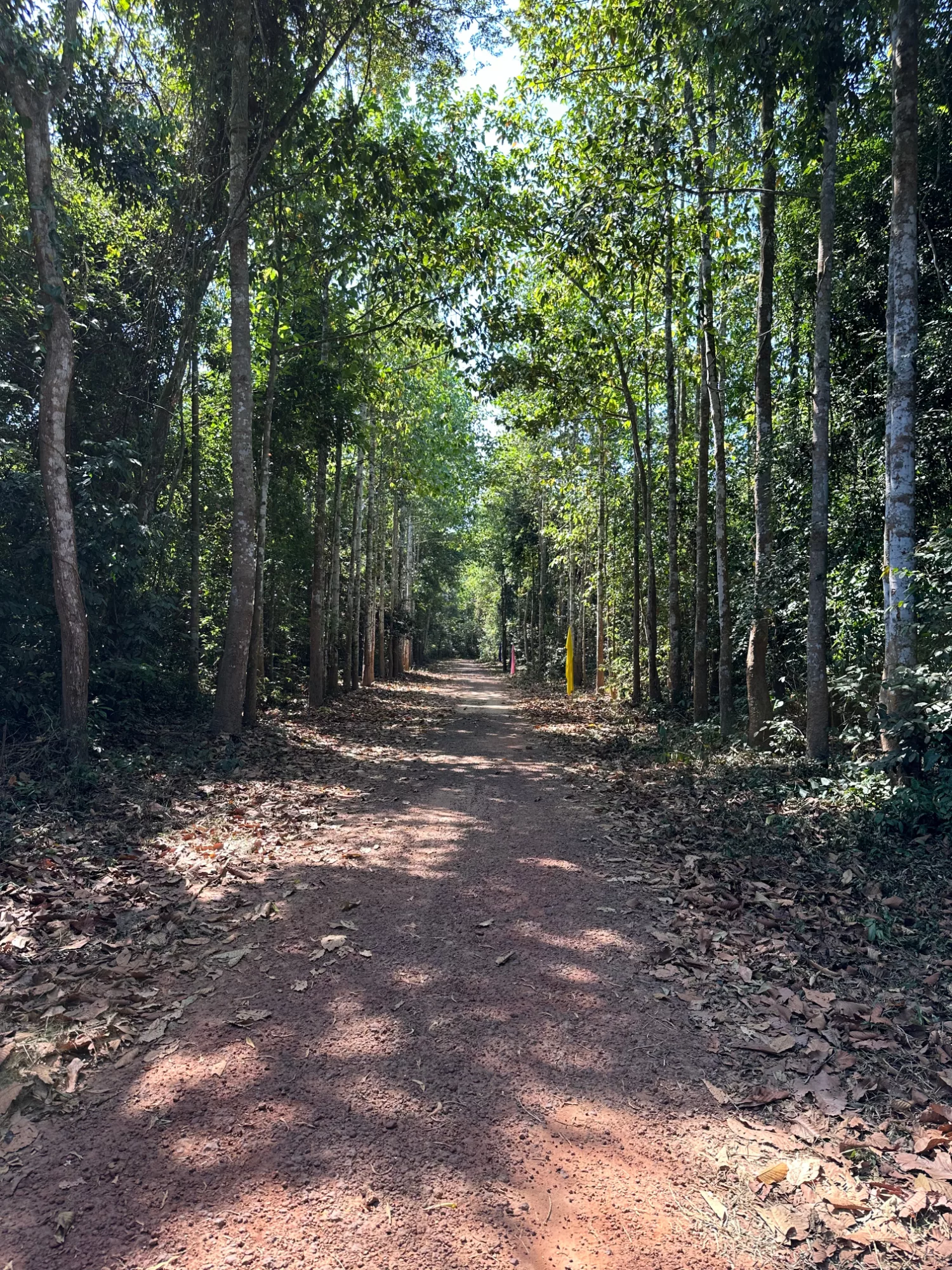 Guía completa de Ho Chi Minh