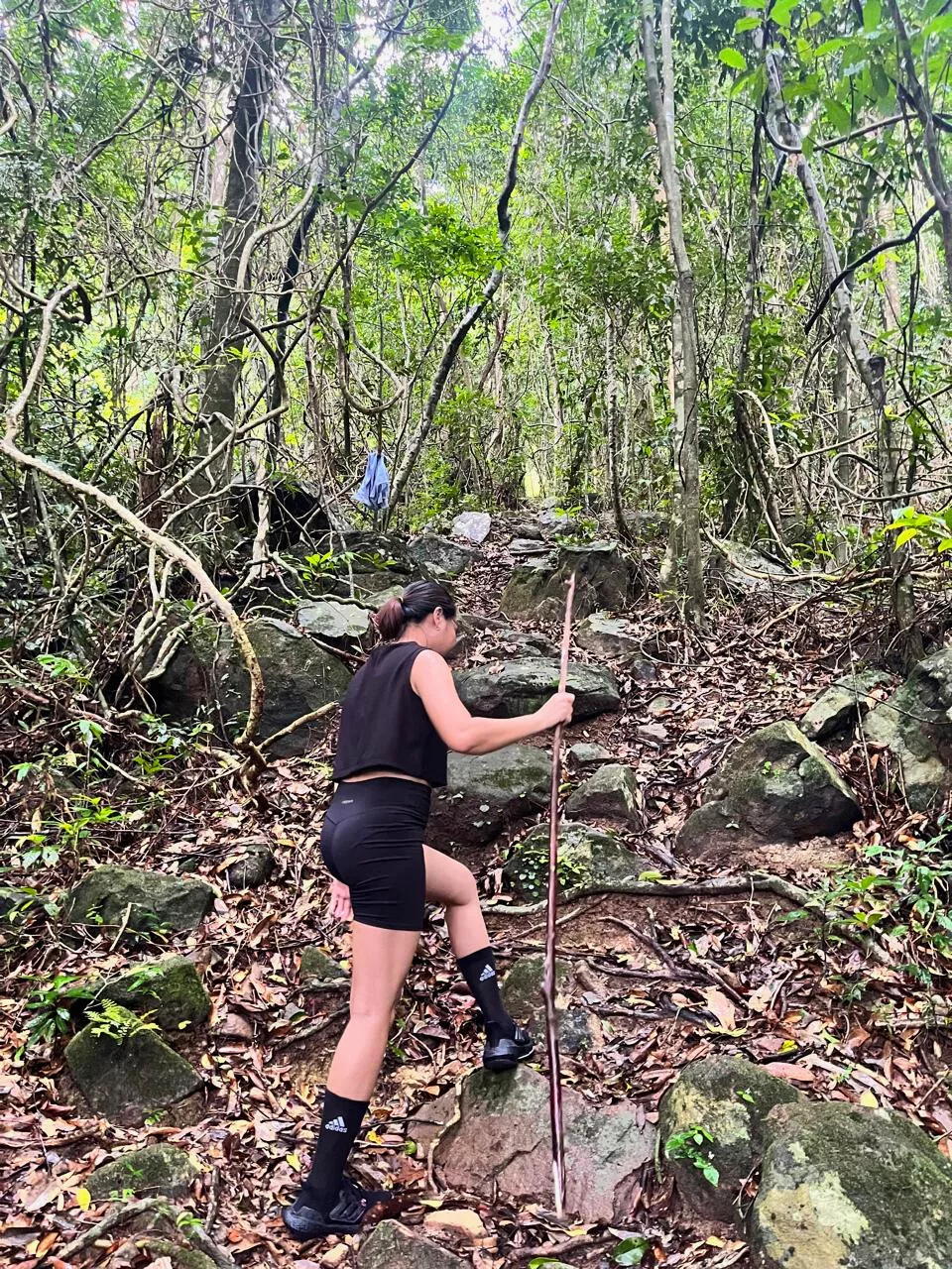 Diseno-sin-titulo-2026-01-16T101518.489.webp Diseno-sin-titulo-2026-01-16T101518.489.webp