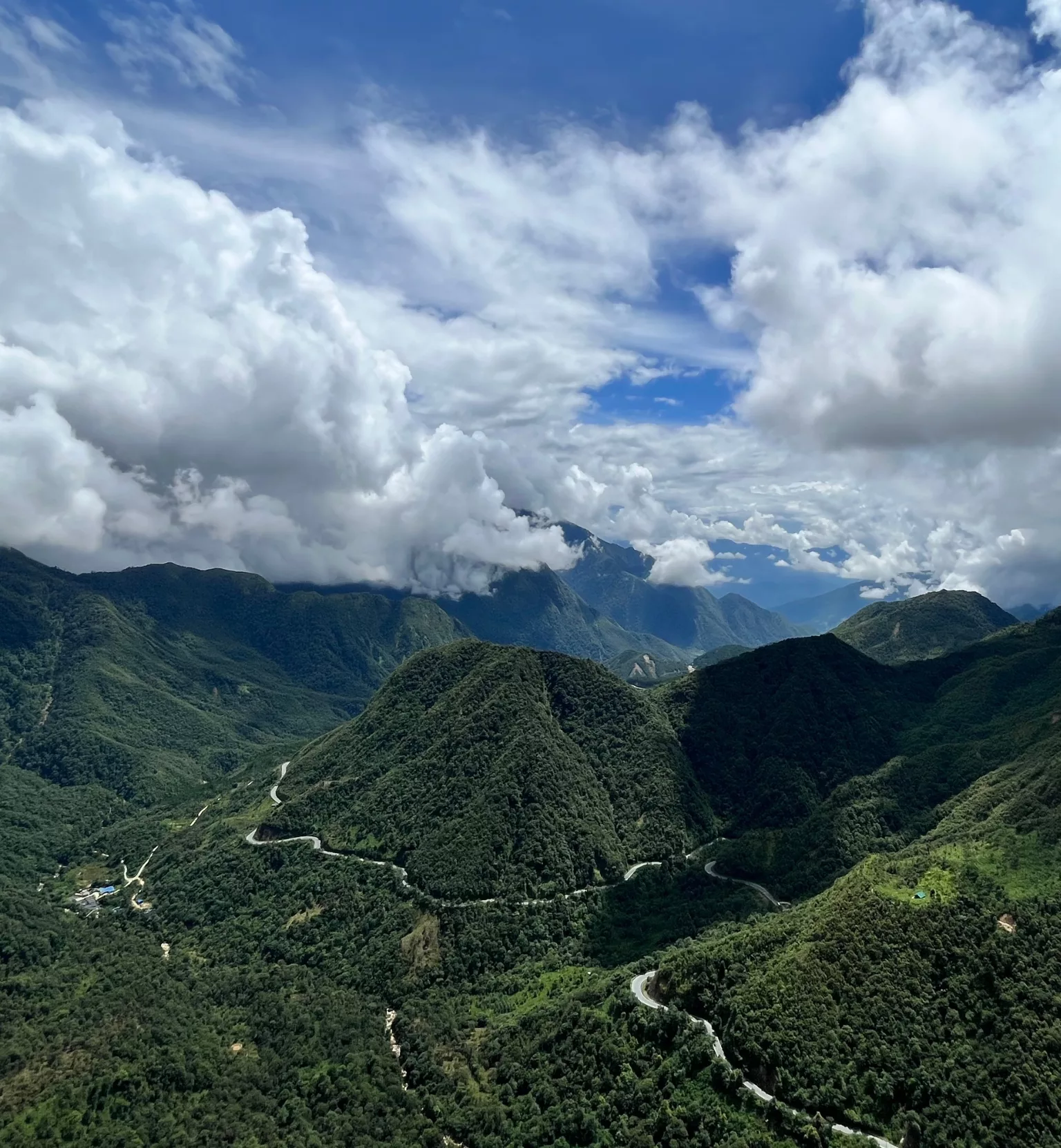 Sin-titulo-1536-x-1662-px.webp Sin-titulo-1536-x-1662-px.webp