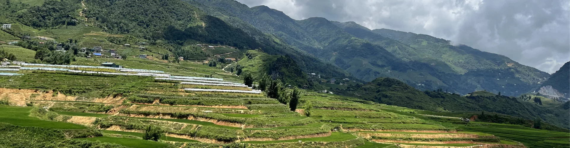 Sin-titulo-1920-x-500-px-1.webp Sin-titulo-1920-x-500-px-1.webp