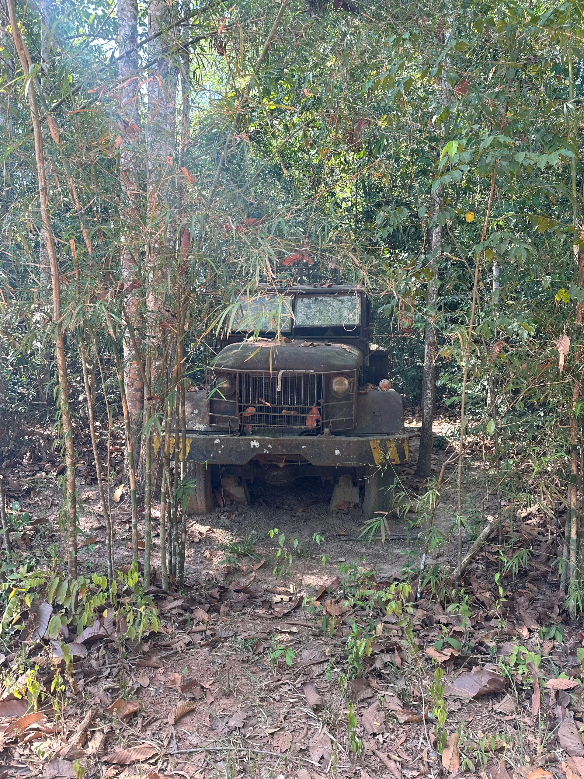 Ho Chi Minh
