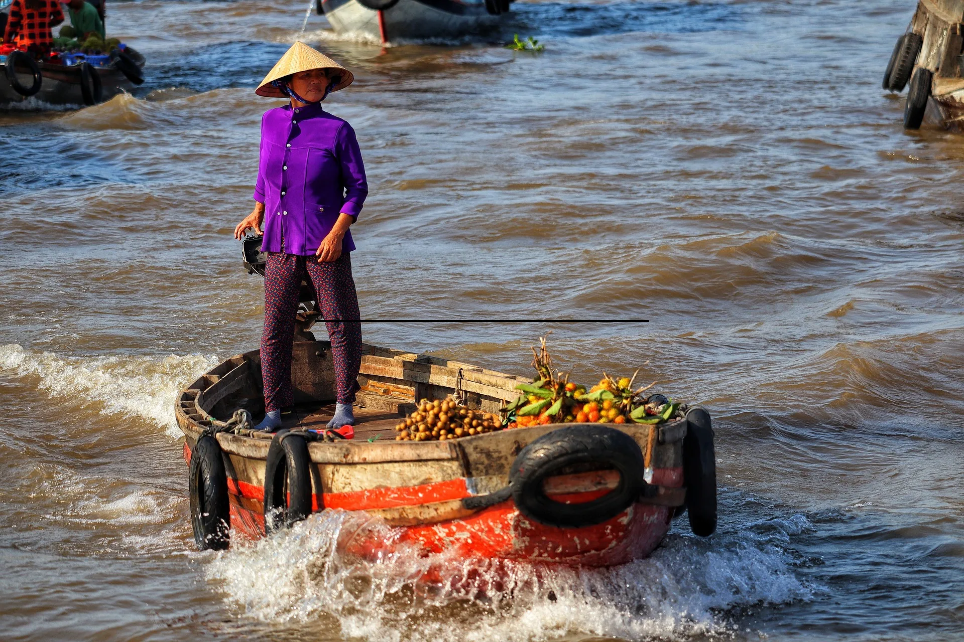 Delta del Mekong